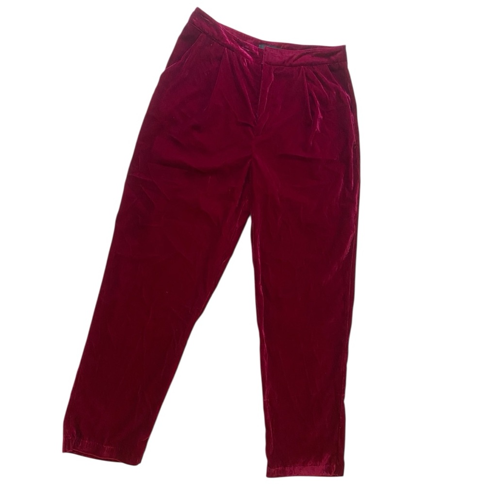 Akira Velvet Pants in Magenta